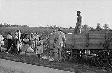 sharecroppers2.jpg